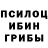 Псилоцибиновые грибы Cubensis Robee Garingo