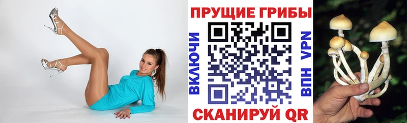 Псилоцибиновые грибы Magic Shrooms  Купить  Буинск 